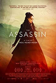 The Assassin 2015 Dub in Hindi full movie download